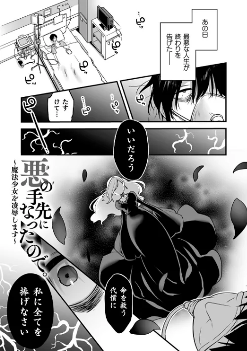 【エロ】悪の手先になったので。 〜魔法少女を××します〜 THE BOOK/作者(山梨ユウヤ) 試し読みサンプル 5ページ目